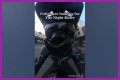 Night Rider Arrested, What Happened To Night Rider?