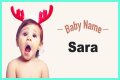 Sara - Baby Name Meaning, Origin, and Popularity