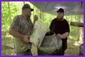   Why do Moonshiners use a raccoon pecker to distil their liquor?    Thu 28 October 2021 12:26    Helen Williams    